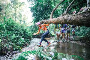 BIB: 
                            <button type="button" onclick="openModal(25444373)" class="btn btn-primary btn-sm float-right btn-popup" data-toggle="modal" data-target=".modal-high-quality">
                        <i class="fas fa-shopping-cart"></i> Add to Cart
                    </button>
                                            <button type="button" onclick="isThisMe(25444373, true)" class="btn btn-success btn-sm float-right btn-popup btn-isme hidden" data-toggle="tooltip" data-placement="bottom" title="นี่คือรูปของคุณใช่ไหม คลิกที่นี่เพื่อเอาเข้าอัลบั้ม">
                        <i class="fas fa-plus"></i> Add to album
                    </button>
                    <button type="button" onclick="isThisMe(25444373, false)" class="btn btn-warning btn-sm float-right btn-popup btn-isnotme hidden">
                        <i class="fas fa-ban"></i> Remove from album
                    </button>